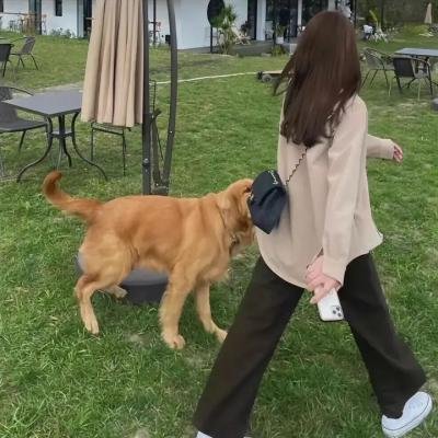 飙客找麻烦
